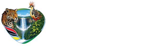 logotype